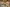 - Begtrupvej 40, Farre