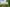 - Begtrupvej 40, Farre