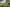 - Begtrupvej 40, Farre