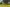  - Viborgvej 761