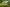  - Begtrupvej 40, Farre