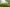  - Begtrupvej 40, Farre